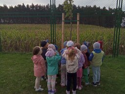 2025-09-18 Przytul się do drzewa